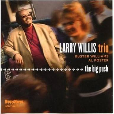 Larry Wills Trio - A Big Push (CD)-5368