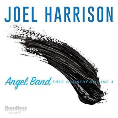 Joel Harrison - Angel Band: Free Country Vol3 (CD)-10639